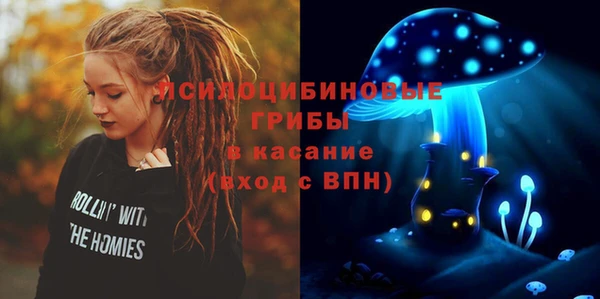 бутират Шадринск
