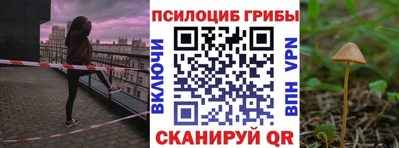 Галлюциногенные грибы прущие грибы  Мытищи 