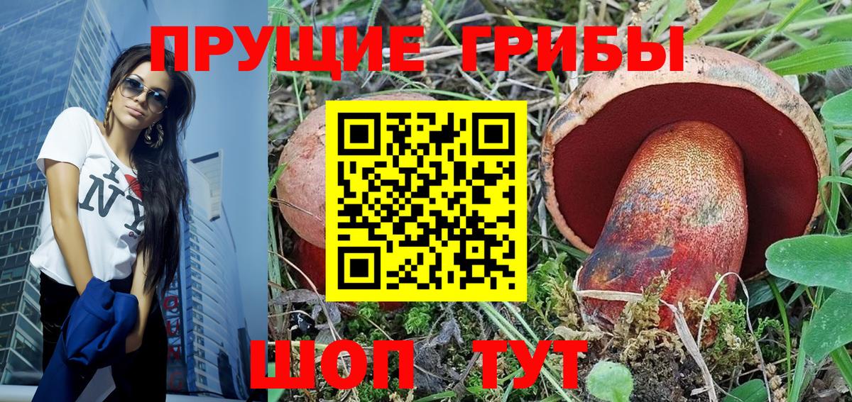 Мытищи  Галлюциногенные грибы прущие грибы  Вход с VPN 