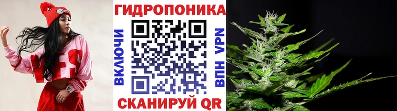 Шишки марихуана семена  MEGA ссылки  Мытищи 